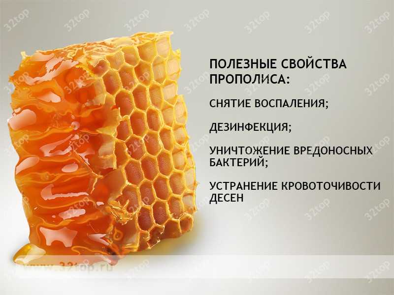 Полезные свойства прополиса Полезные свойства прополиса