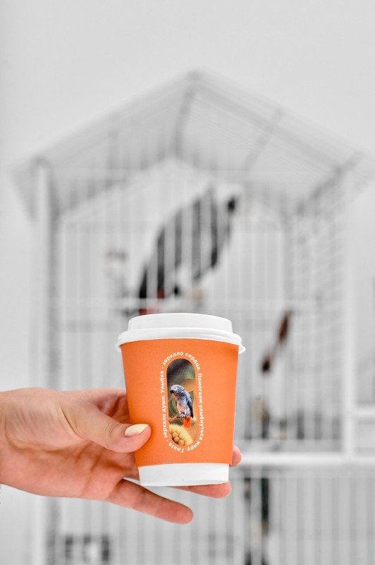 Стоматология CHARISMA (ХАРИЗМА)