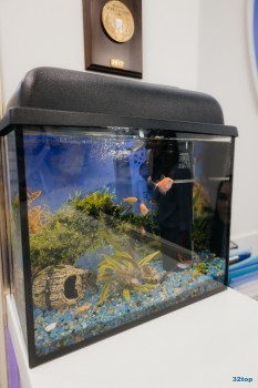 Стоматология РОСТ