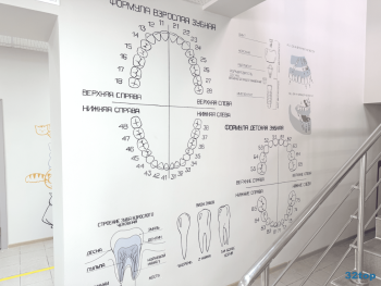 Стоматология СТАМУС на Старокубанской