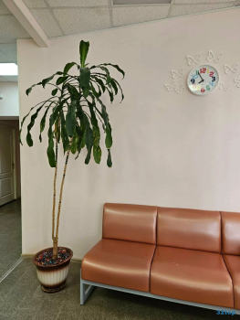 Стоматология ДОЛЬЧЕ СТОМ (DOLCE STOM)