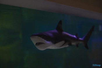 Стоматологическая клиника ПРАЙМ на Советской Армии