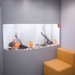 Стоматологическая клиника ПРАЙМ на Есенина