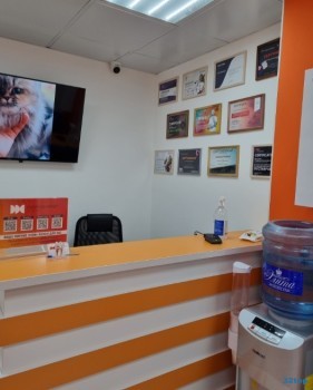 Стоматологическая клиника DEMOKRAT (ДЕМОКРАТ)