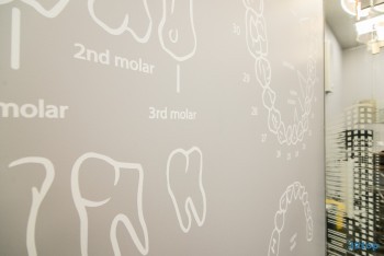 Клиника ортодонтии ORTHOLIKE (ОРТОЛАЙК) м. Авиамоторная