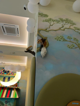 Детская стоматология ЧУДЕНТИКА