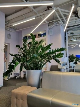 Клиника ортодонтии ORTHOLIKE (ОРТОЛАЙК) м. Римская