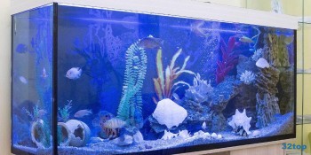 Стоматологичская клиника НЕОМЕД м. Кузьминки