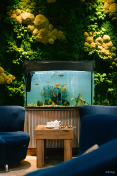 Клиника эстетической медицины и современной стоматологии БЬЮТИ