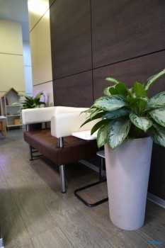 Авторская стоматология и косметология MEDSTONE (МЕДСТОУН) м. Ленинский Проспект