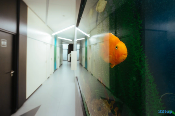 Стоматологическая клиника АГАМИ м. Марьина Роща