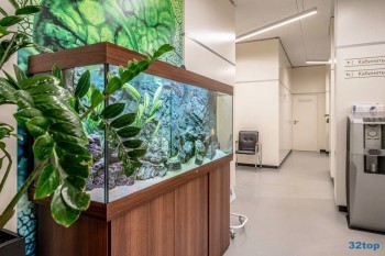 Стоматологическая клиника АГАМИ м. Марьина Роща