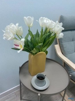 Стоматология MANGO (МАНГО) м. Алабинская