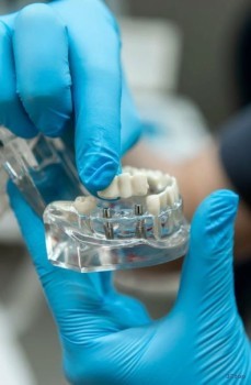 Стоматологическая клиника МИСТЕР ПРЕЗИДЕНТ