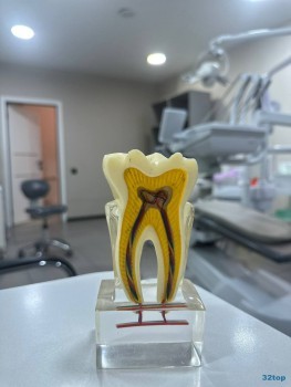 Стоматология GIOIA DENTAL CLINIC (ДЖОЯ ДЕНТАЛ КЛИНИК)