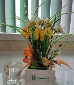 Стоматологическая клиника ЕЛЕОН ПЛЮС