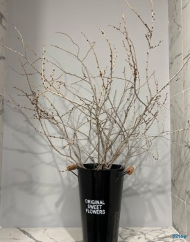 Стоматология ART DENTAL GALLERY (АРТ ДЕНТАЛ ГАЛЛЕРИ) м. Московская