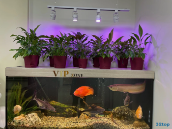 Стоматологическая клиника ТРИНИТИ-ДЕНТ