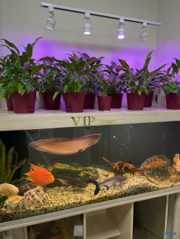 Стоматологическая клиника ТРИНИТИ-ДЕНТ