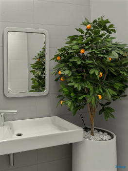 Стоматологическая клиника ДЕНТАЛ ДЕЙЛИ (DENTAL DAILY) м. Авиамоторная