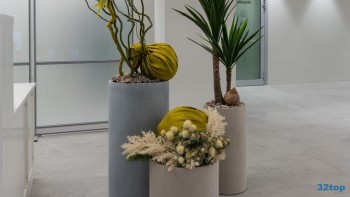 Частная стоматология BELGRAVIA DENTAL STUDIO (БЕЛГРАВИЯ ДЕНТАЛ СТУДИО) м. Киевская