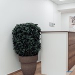 Медицинский центр КЛИНИКА МЕД м. Яхромская