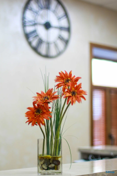 Стоматологическая клиника 33-Й ЗУБ