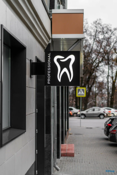 Стоматологическая клиника Владимира Юдина PROFESSIONAL (ПРОФЕШИОНАЛ)