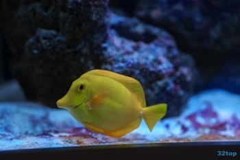 Стоматологический центр МЕДЕНТАСТАР