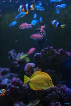 Стоматологический центр МЕДЕНТАСТАР