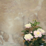 Стоматологическая клиника ДЕНТЕКА