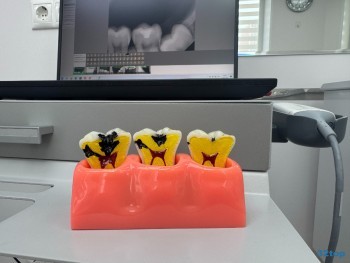 Клиника эстетической стоматологии СОЗВЕЗДИЕ