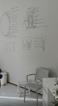 Стоматология ТЕРИЯ (TERIA) м. Площадь Александра Невского-2