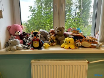 Стоматология ФОКУС м. Площадь Мужества