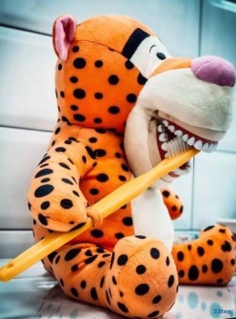 Стоматология DR. BRACKET (ДОКТОР БРЕКЕТ) г. Колпино