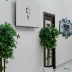 Стоматология СТОМЛЭНД