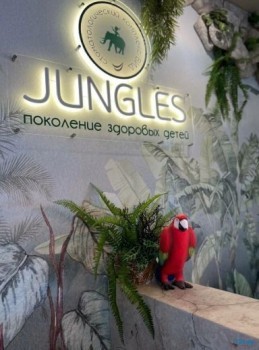 Детская стоматология JUNGLES (ДЖУНГЛИ)