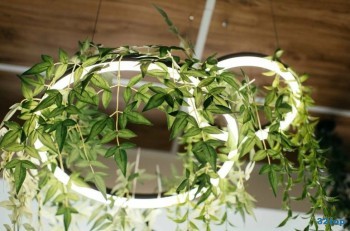 Детская стоматология JUNGLES (ДЖУНГЛИ)