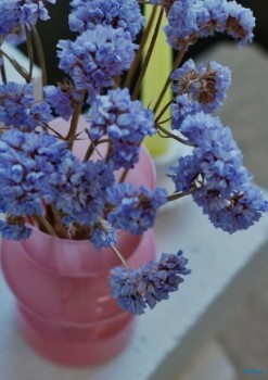 Стоматология AL DENTE (АЛ ДЕНТЕ)