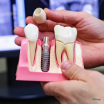 Стоматология СТОМАТОЛОГИЯ №1