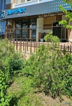 Стоматология ДЕНТАРТ