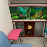 Клиника эстетической стоматологии КОРАЛЛ