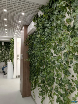 СТОМАТОЛОГИЯ ГЛОТОВА