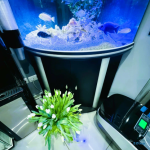 Стоматологическая клиника АСТРА-СМАЙЛ м. Селигерская