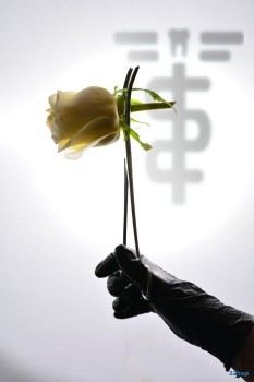 ИСПАНСКИЙ СТОМАТОЛОГИЧЕСКИЙ ЦЕНТР м. Прокшино