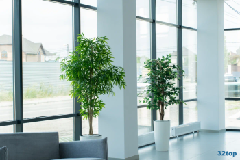 Стоматология СТАМУС на Средней