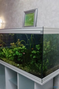 СТОМАТОЛОГИЯ №9 м. Северный вокзал