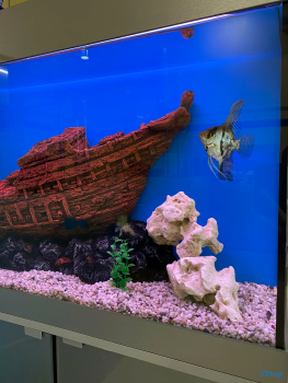 Стоматология ДИАНА ДЕНТАЛ КЛИНИКА м. Беговая