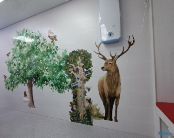 Клиника профилактической стоматологии МАСТЕР ДЕНТ ДЕТЯМ на Мира