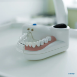 Стоматология ЗУБНАЯ ФЕЯ